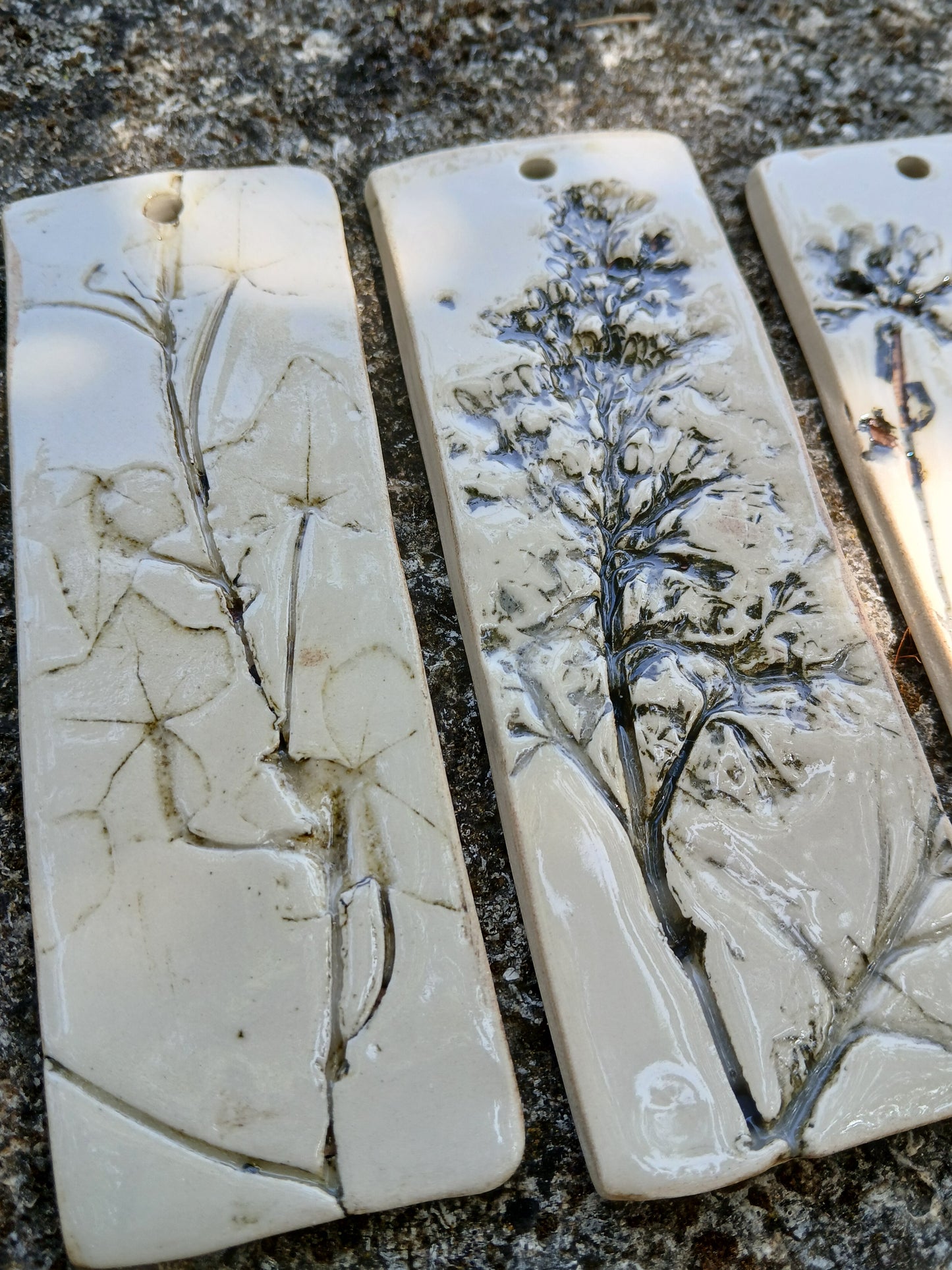 Herbier de sorcière