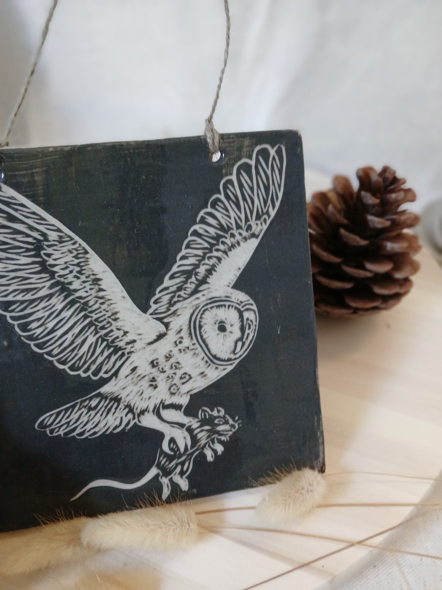 Tableau Chouette Effraie