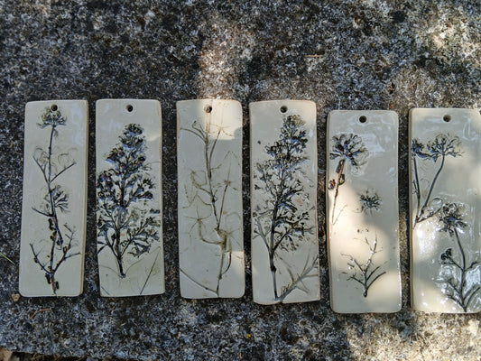 Herbier de sorcière