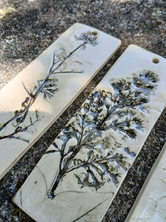 Herbier de sorcière