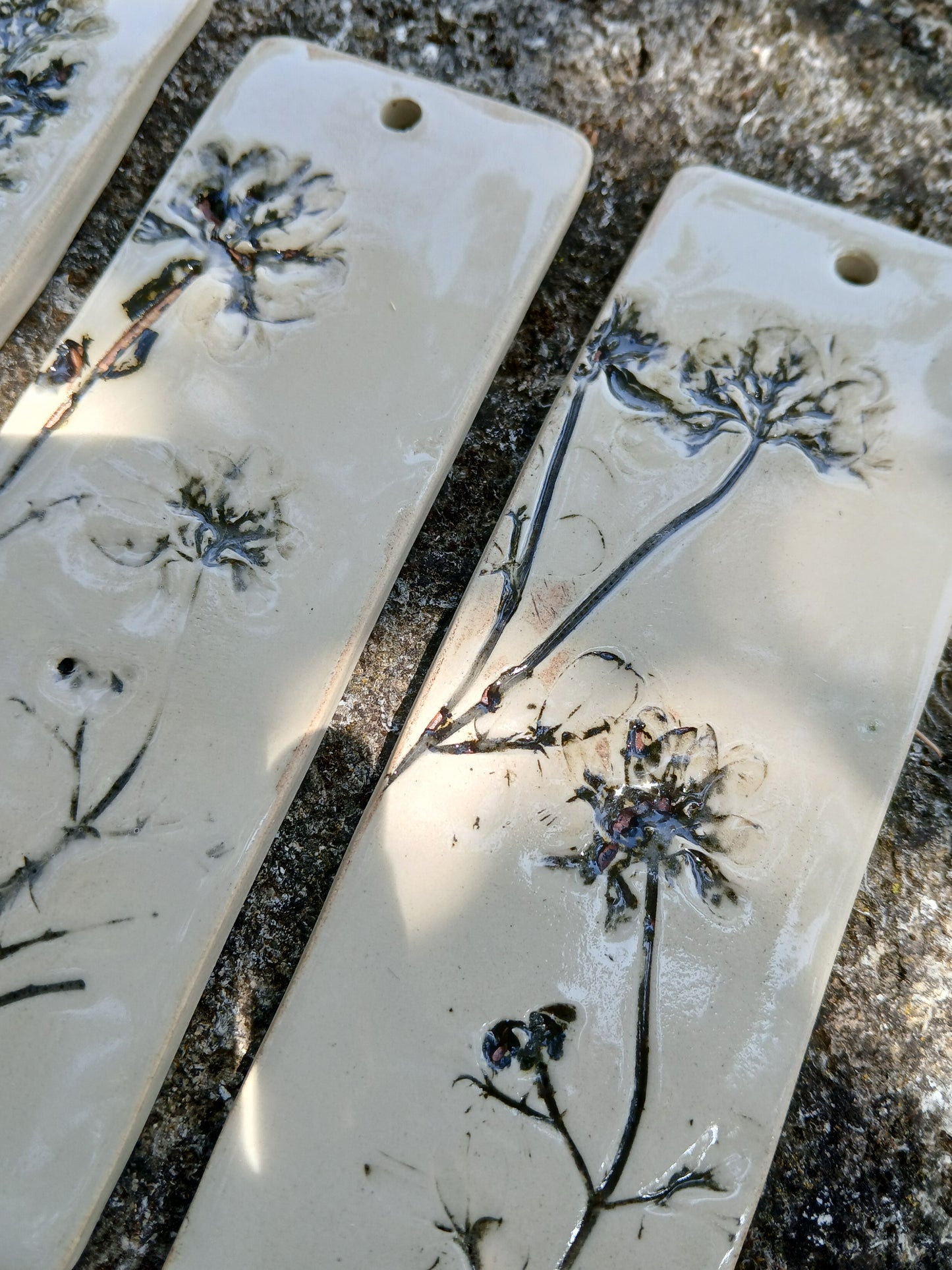 Herbier de sorcière