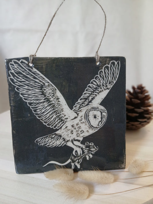 Tableau Chouette Effraie